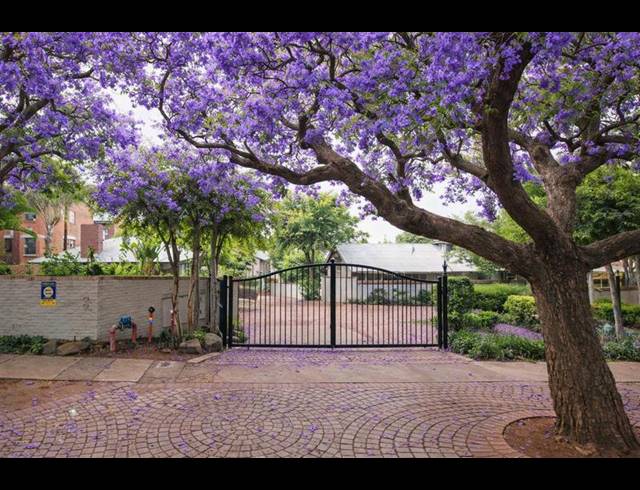 3 BEDROOM PROPERTY TO RENT IN BROOKLYN